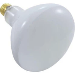 Clear White Medium Base Bulb 120V 300W -Pool Safe Pro apc120300m 04215.1667489426