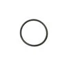 1.5" Black APC APCO2280 Chlorinator Bottom O-Ring -Pool Safe Pro dbay20apco2280 27488.1667610823
