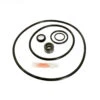 Sta-Rite P4E/P4EA Repair Kit APCKIT38 -Pool Safe Pro dbay apck1033 1 15004.1667679282