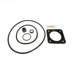 Sta-Rite APCK1057 Pump Repair Kit APCKIT6