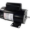 1.5 HP Black Dual Speed Round Flange Pool Motor -Pool Safe Pro dbay bn50v1 1 27765.1667661317