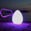 12" Genesis Remote Controlled Portable LED Illuminated Color Changing Egg -Pool Safe Pro dmain20131776 76027.1667678664