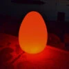 17" Alpha Remote Controlled Portable LED Illuminated Color Changing Egg -Pool Safe Pro dmain20131777 19381.1667678654