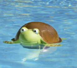 Green And Brown Floating Turtle Swimming Pool Chlorine Dispenser 7 Green And Brown Floating Turtle Swimming Pool Chlorine Dispenser -Pool Safe Pro pool2032126 1 94445.1667581780