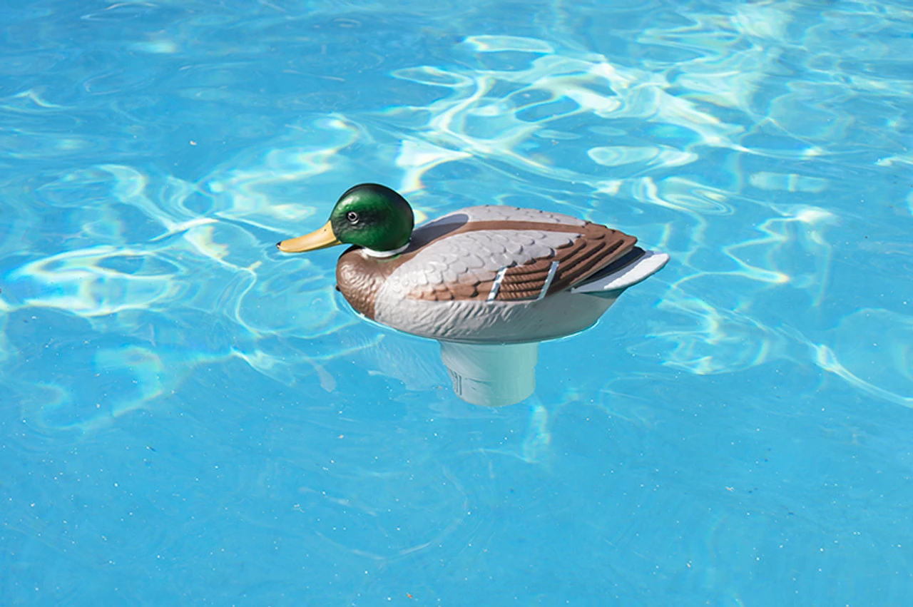 16" Mallard Duck Floating Swimming Pool Chlorine Dispenser 4 16" Mallard Duck Floating Swimming Pool Chlorine Dispenser - Image 2