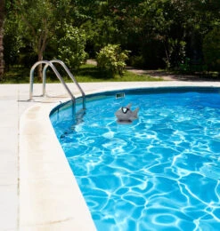 13" Gray And White HydroTools Cool Shark Swimming Pool Chemical Dispenser -Pool Safe Pro swim 87271 2 51487.1667643574